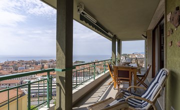 Von den Olivenbäumen 2