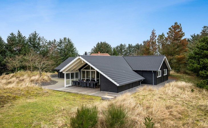 "Jeldrik" - all-inclusive - 1,5 km van de zee in West-Jutland 1