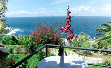 El Caleton (MAZ100) 3