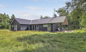 "Delan" - 1.3km from the sea in Western Jutland 2