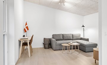 2 bedroom pet friendly home in Vemb 3