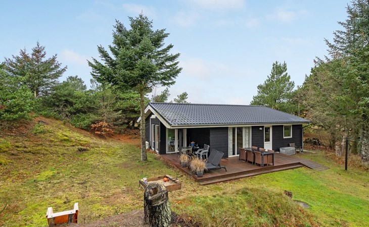 "Frankrijk" - 1,1 km van de zee in West-Jutland 1