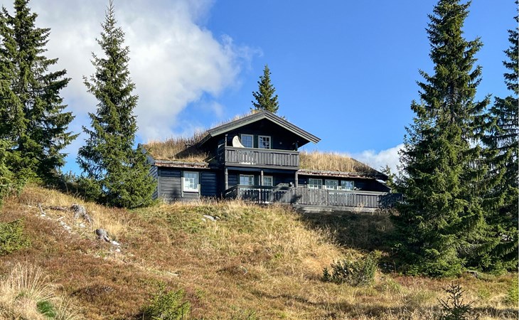 Stunning home in Sjusjøen with sauna 1