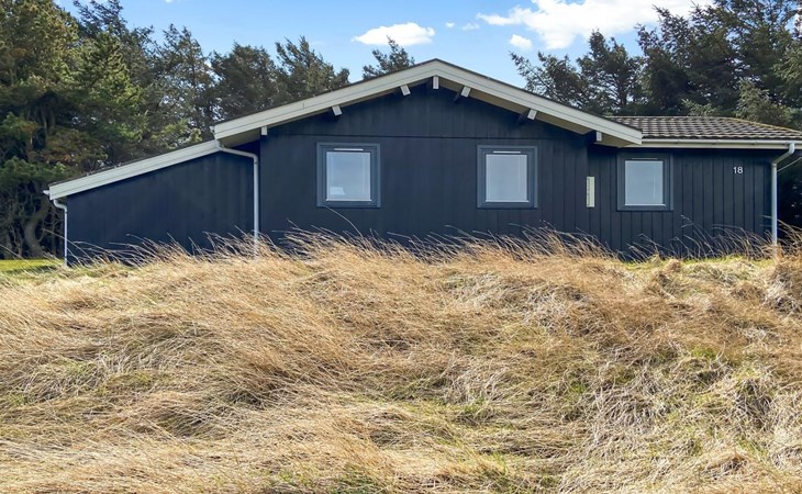 "Francy" - 400m from the sea in NW Jutland 1