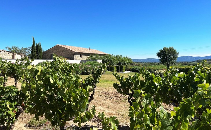 Domaine la Vigne - luxe gîtes in de wijnregio Minervois 1