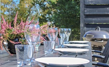 "Swavi" - uit de zee in NO Jutland 3