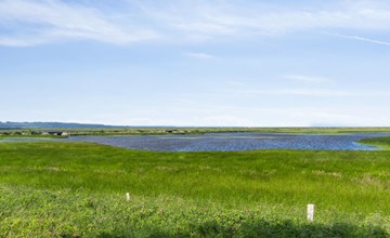 "Felis" - 575m from the sea 3