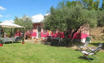 Podere Conte Francesco-Carla 2