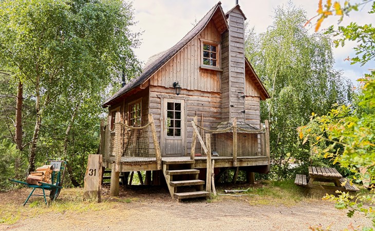 Tree House 1 1