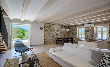 Villa Plivov 2