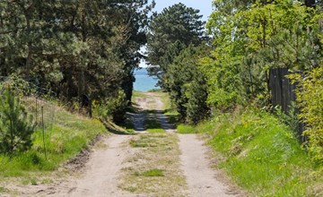 "Dagino" - 200m from the sea 3