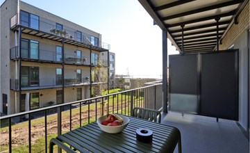 Lovely apartment in Lembruch/Dümmer See 3