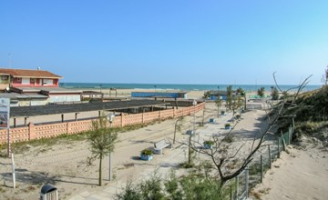 Pet friendly apartment 2