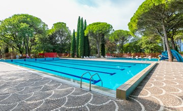 Moerbeiboom (GDO 202) 2