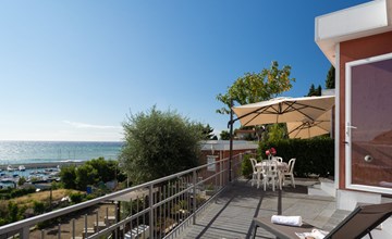 Bouganvilla (SLR402) 2