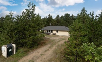 "Micke" - 3.2km from the sea in Western Jutland 2