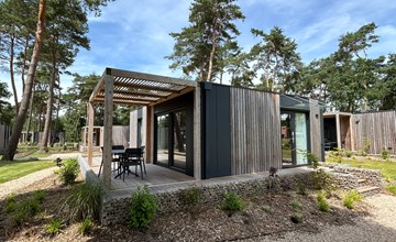 Domus 4 2