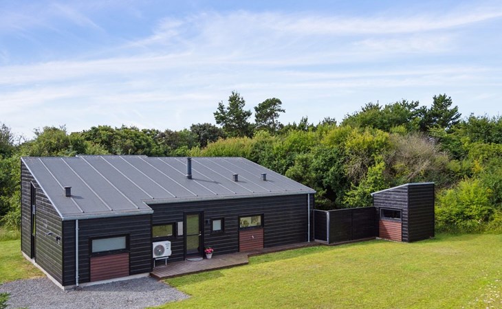 "Herdie" - 900m from the sea in NW Jutland 1