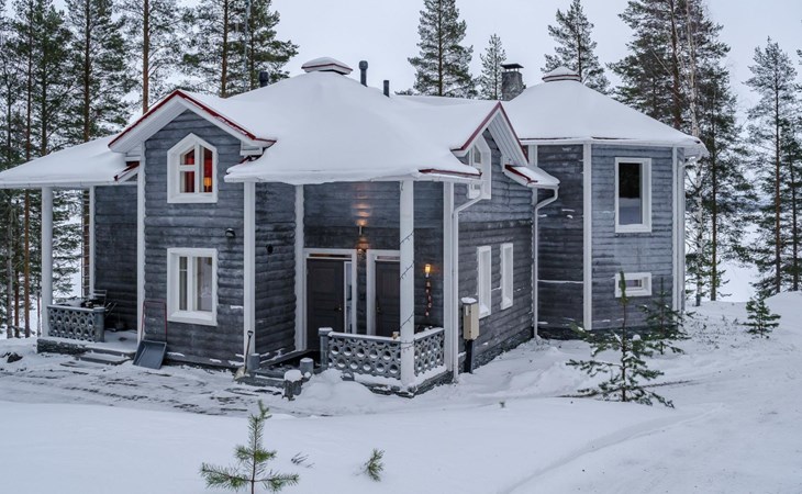 Concrete villa kelo 1