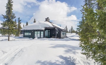 3 bedroom stunning home in Sjusjøen 3
