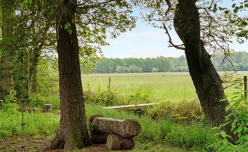 "Rohan" - 500 meter van de zee in Djursland en Mols 3