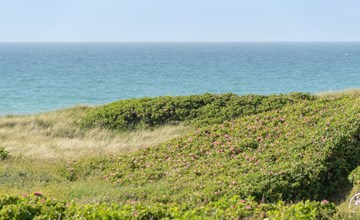"Heidine" - 100 meter van de zee in Noordwest-Jutland 3