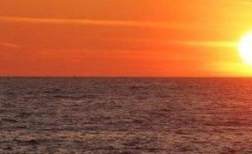 Apartment mit Balkon 2