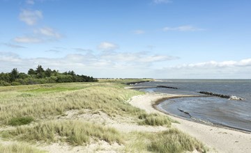 „Hughe“ – 300 m vom Meer entfernt in Lolland, Falster und Mo 3