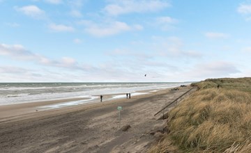 "Paul" - 100m from the sea in NW Jutland 3