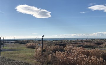 Die Strandterrassen 2