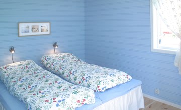 Fagerdalsnipi (FJS609) 3