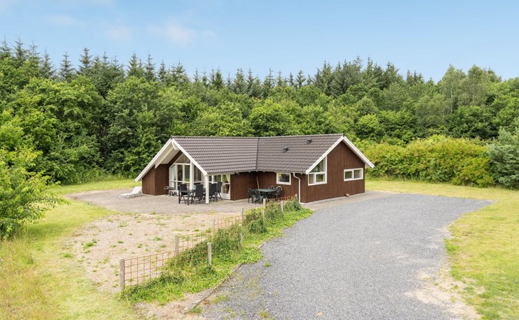 "Arnika" - 28km from the sea in Western Jutland 1