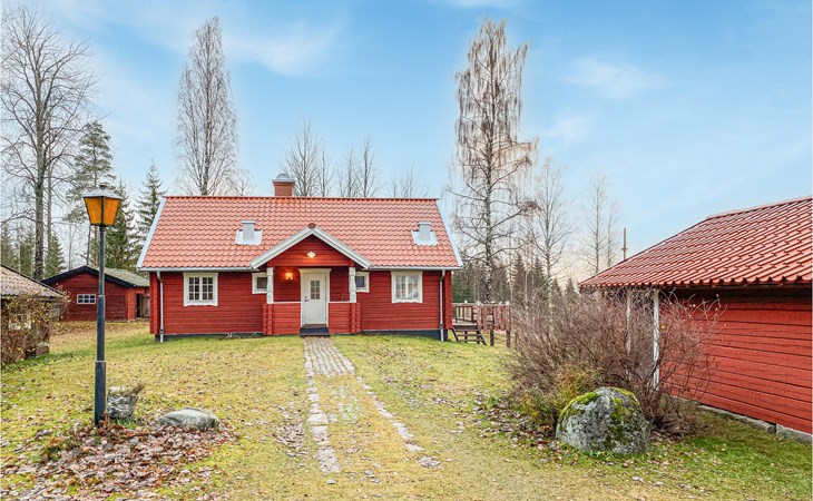 5 bedroom awesome home in Kopparberg 1