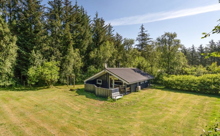 "Alwin" - 2,5 km van de zee in Noordwest-Jutland 1