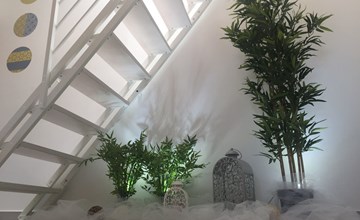 Anna Penthouse mit Terrasse 3