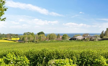 „Alma“ – 400 m vom Meer entfernt in Südostjütland 3