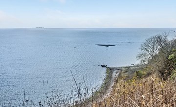 „Bosilka“ in Seeland 2