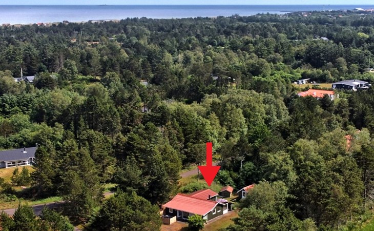 "Elmer" - 400m from the sea in NE Jutland 1