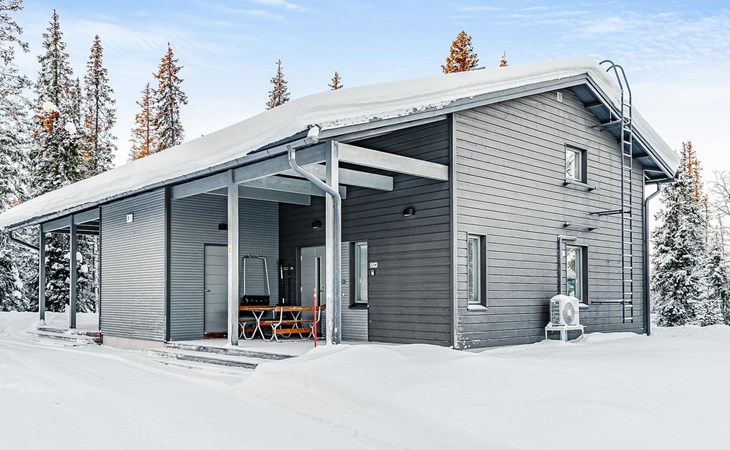 Villa Vuosseli c 1 1