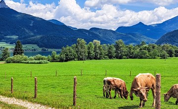 Wohnung Garten 2 Seeblick 2
