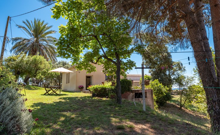 Rutili - Josée (CTN255) 1