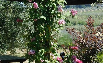 Wohnung mit Garten in Barberino Tavarnelle 2