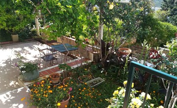 für 3 Personen ca. 30 m² in Dubrovnik, Dalmatien (Dubrovnik-Neretva) 2