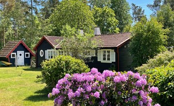 Schönes Ferienhaus mit Garten, Terrasse und Grill 3