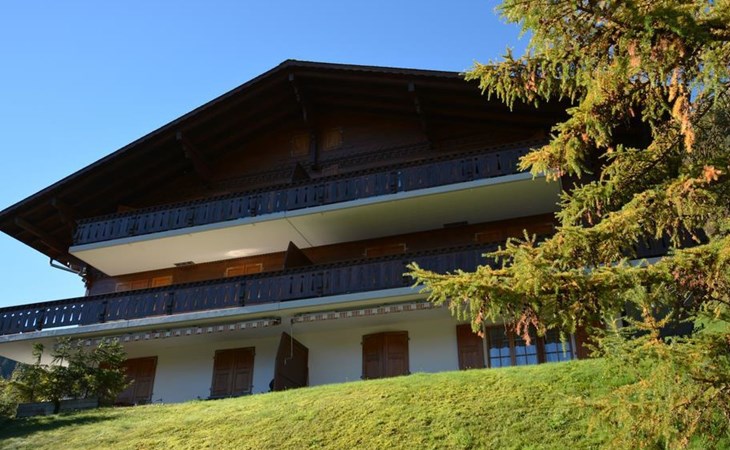 Hornflue (Wohlwender) 1