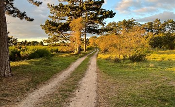„Fietje“ – 200 m vom Meer entfernt in Seeland 3