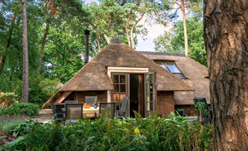 Sprielderbosch 24 Luxury holiday rental in the woody Veluwe region 2
