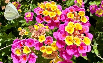 Prächtige Villa in spektakulärer Lage 3