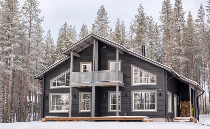 Levi's wolverine court 2b 1