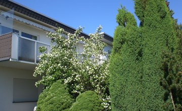 Ambiente in Homberg ot Welferode 2